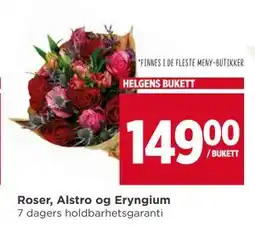 Meny Roser, Alstro og Eryngium, NOK 149 tilbud