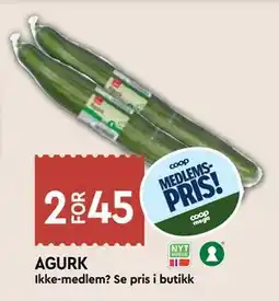 Coop Mega AGURK, Medlemspris tilbud