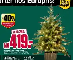 Europris JULETRE I POTTE OPPDAL, NOK 419 tilbud