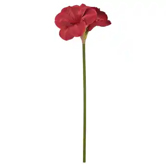 IKEA Vinterfint Kunstige blomster, inne/ute Amaryllis/rød, 60 cm tilbud
