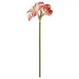 IKEA Vinterfint Kunstige blomster, inne/ute Amaryllis/rød hvit, 60 cm tilbud