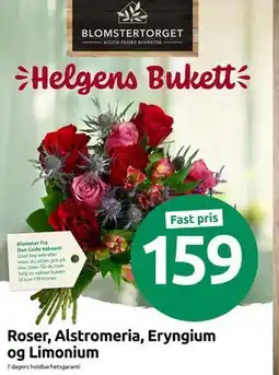 Joker Roser, Alstromeria, Eryngium og Limonium, NOK 159 tilbud