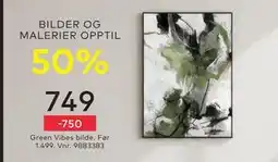 Skeidar Green Vibes bilde, NOK 749 tilbud