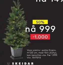 Skeidar Voss juletre, NOK 999 tilbud