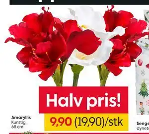 Rusta Amaryllis, NOK 9.9 tilbud