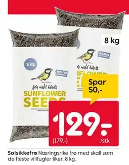 Rusta Solsikkefrø, NOK 129 tilbud