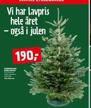 jem & fix NORDMANN EDELGRAN, NOK 190 tilbud