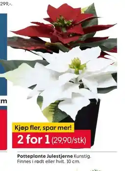 Rusta Potteplante Julestjerne, NOK 29.9 tilbud