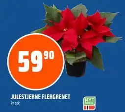 Coop Obs JULESTJERNE FLERGRENET, NOK 59.9 tilbud
