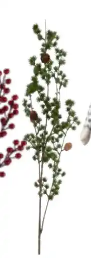 Nille Sedertre stilk, NOK 99.95 tilbud