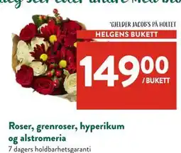 Jacobs Roser, grenroser, hyperikum og alstromeria, NOK 149 tilbud
