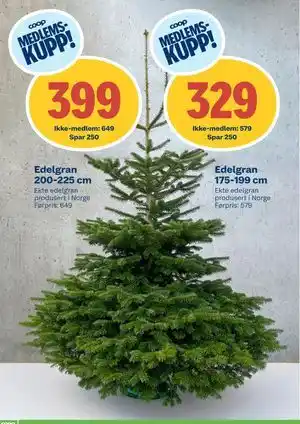 Coop Byggmix Edelgran 200-225 cm, NOK 649, Medlemspris tilbud