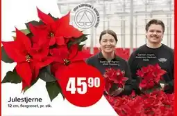 Spar Julestjerne, NOK 45.9 tilbud