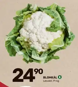 Matkroken BLOMKÅL, NOK 24.9 tilbud
