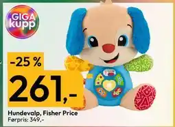 Gigaboks Hundevalp, Fisher Price, NOK 261 tilbud