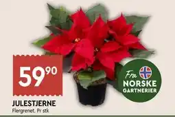 Coop Mega JULESTJERNE, NOK 59.9 tilbud