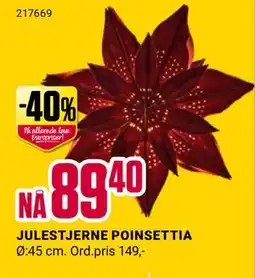 Europris JULESTJERNE POINSETTIA, NOK 89.4 tilbud