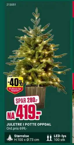 Europris JULETRE I POTTE OPPDAL, NOK 419 tilbud