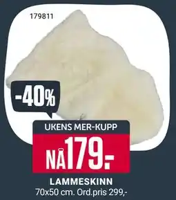 Europris LAMMESKINN, App-pris tilbud