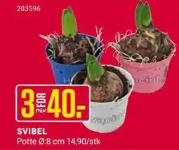 Europris SVIBEL, NOK 40 tilbud