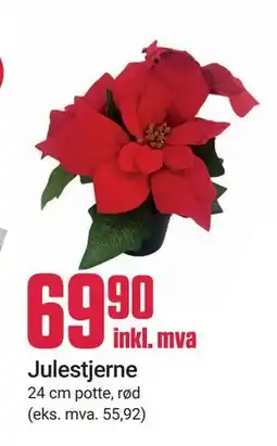 Europris Julestjerne, NOK 69.9 tilbud