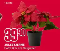 Europris JULESTJERNE, NOK 39.9 tilbud