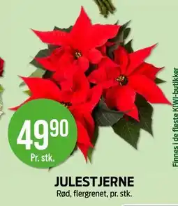 Kiwi JULESTJERNE, NOK 49.9 tilbud