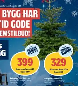 Obs Bygg Edelgran 175-199 cm, Medlemspris tilbud