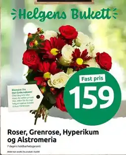 Joker Roser, Grenrose, Hyperikum og Alstromeria, NOK 159 tilbud