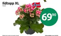 Joker Ildtopp XL, NOK 69.9 tilbud