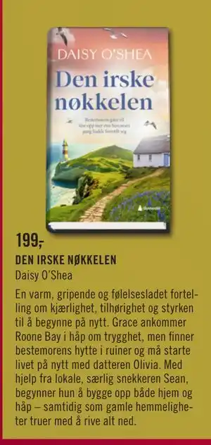 Ark Bokhandel DEN IRSKE NØKKELEN, NOK 199 tilbud