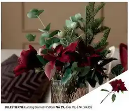 Bohus JULESTJERNE, NOK 59 tilbud