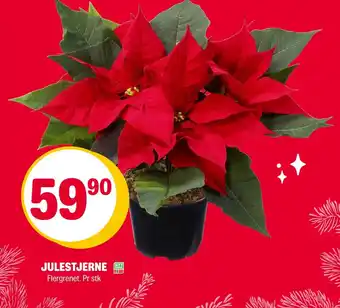 Coop Extra Julestjerne tilbud