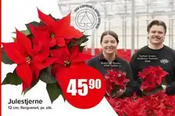 Spar Julestjerne tilbud