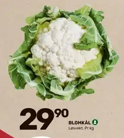 Matkroken BLOMKÅL tilbud