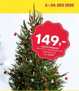 Byggmax Juletre Rødgran tilbud
