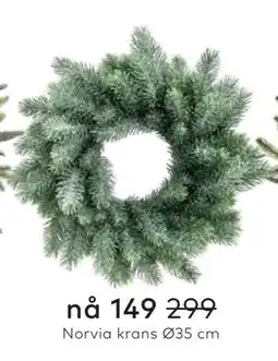 Skeidar Norvia krans Ø35 cm tilbud