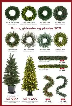 Skeidar Krans, girlander og planter tilbud