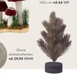 Skeidar Shine dekketallerken tilbud