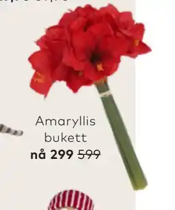 Skeidar Amaryllis bukett tilbud