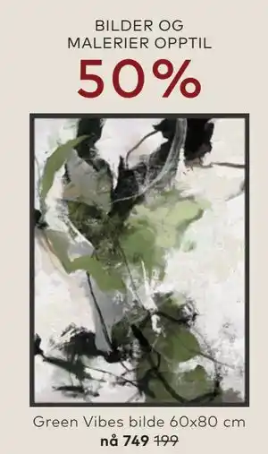 Skeidar Green Vibes bilde 60x80 cm tilbud
