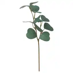 IKEA Smycka Kunstferdig kvist, inne/ute/eukalyptus, 29 cm tilbud