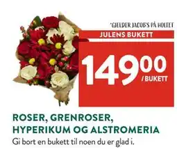 Jacobs ROSER, GRENROSER, HYPERIKUM OG ALSTROMERIA tilbud
