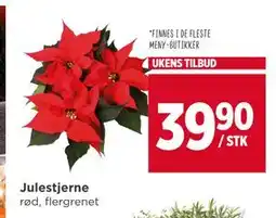 Meny Julestjerne tilbud