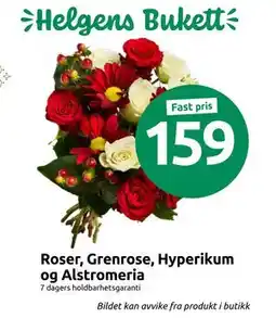 Joker Roser, Grenrose, Hyperikum og Alstromeria tilbud