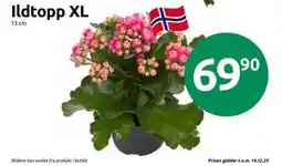 Joker Ildtopp XL tilbud