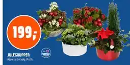 Coop Obs JULEGRUPPER tilbud