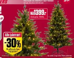Europris Alle juletrær! tilbud