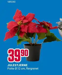 Europris JULESTJERNE tilbud