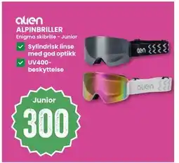 Sport Outlet ALPINBRILLER tilbud